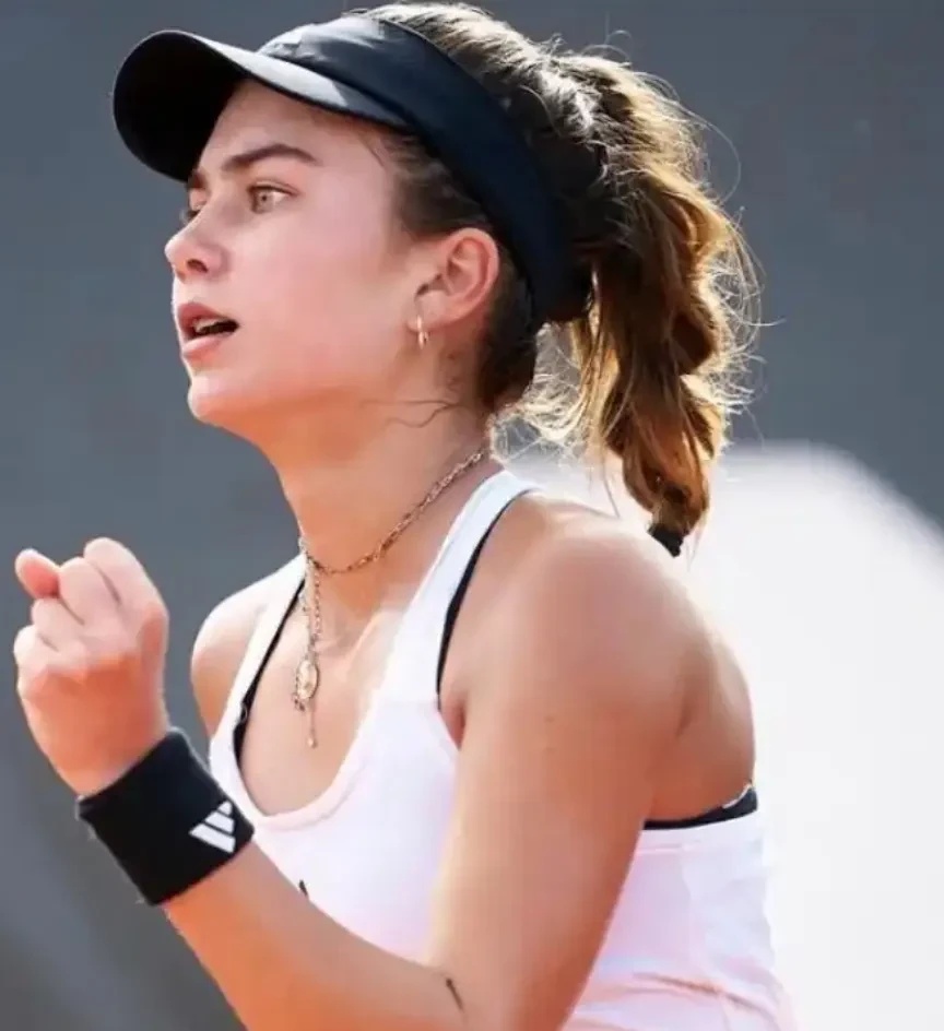 的总体实力 的总体实力