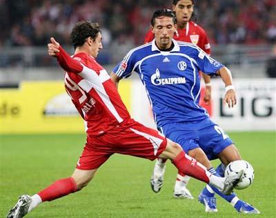 可能会采取 可能会采取